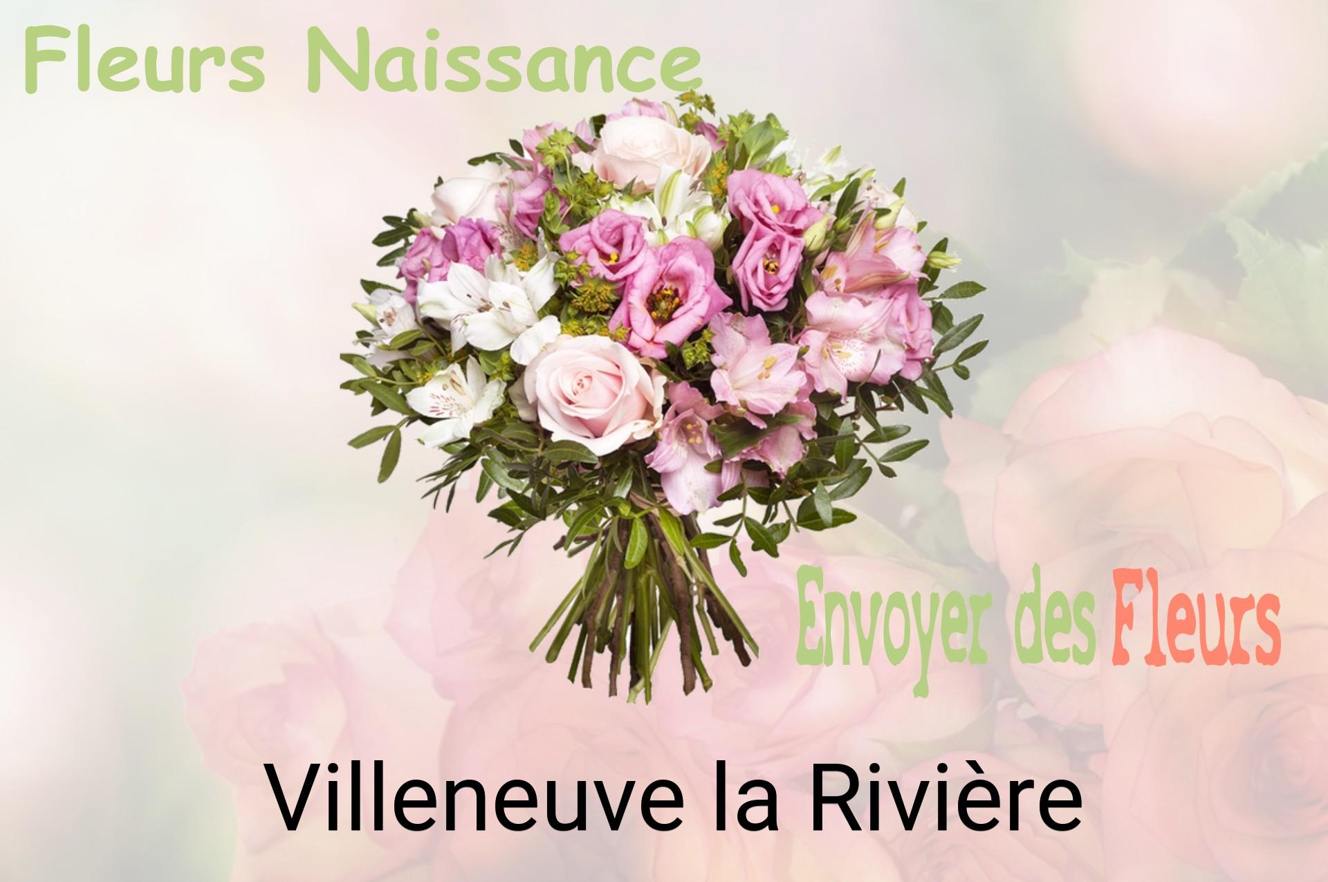 Bouquet de fleurs de naissance livré à Villeneuve-la-Rivière