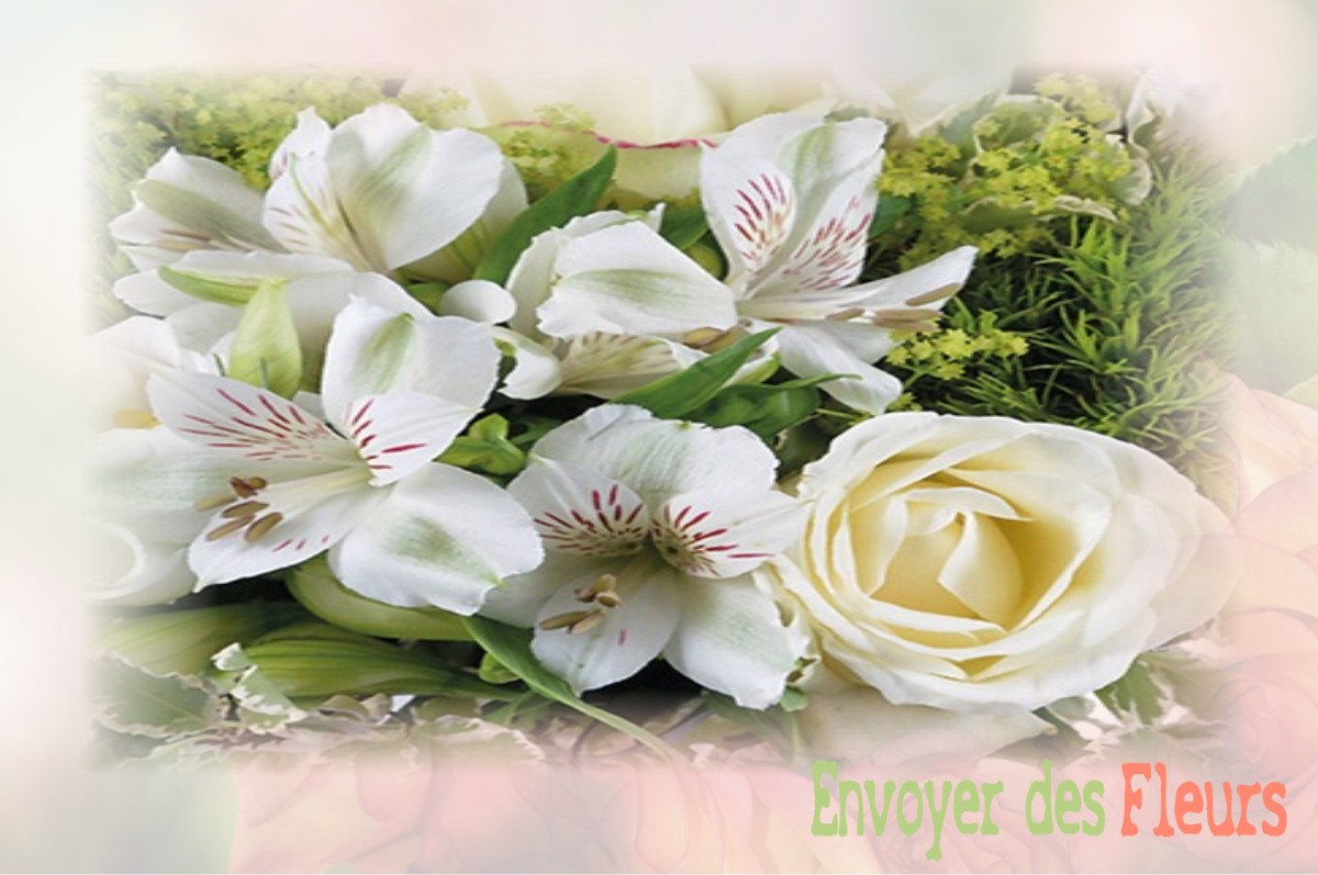 envoyer des fleurs à à VILLENEUVE-LA-RIVIERE