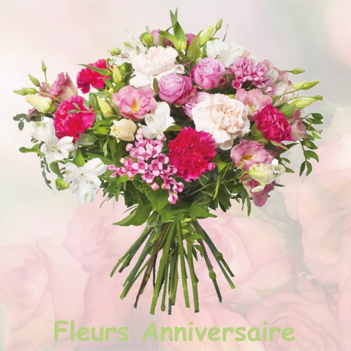 fleurs anniversaire VILLENEUVE-LA-RIVIERE