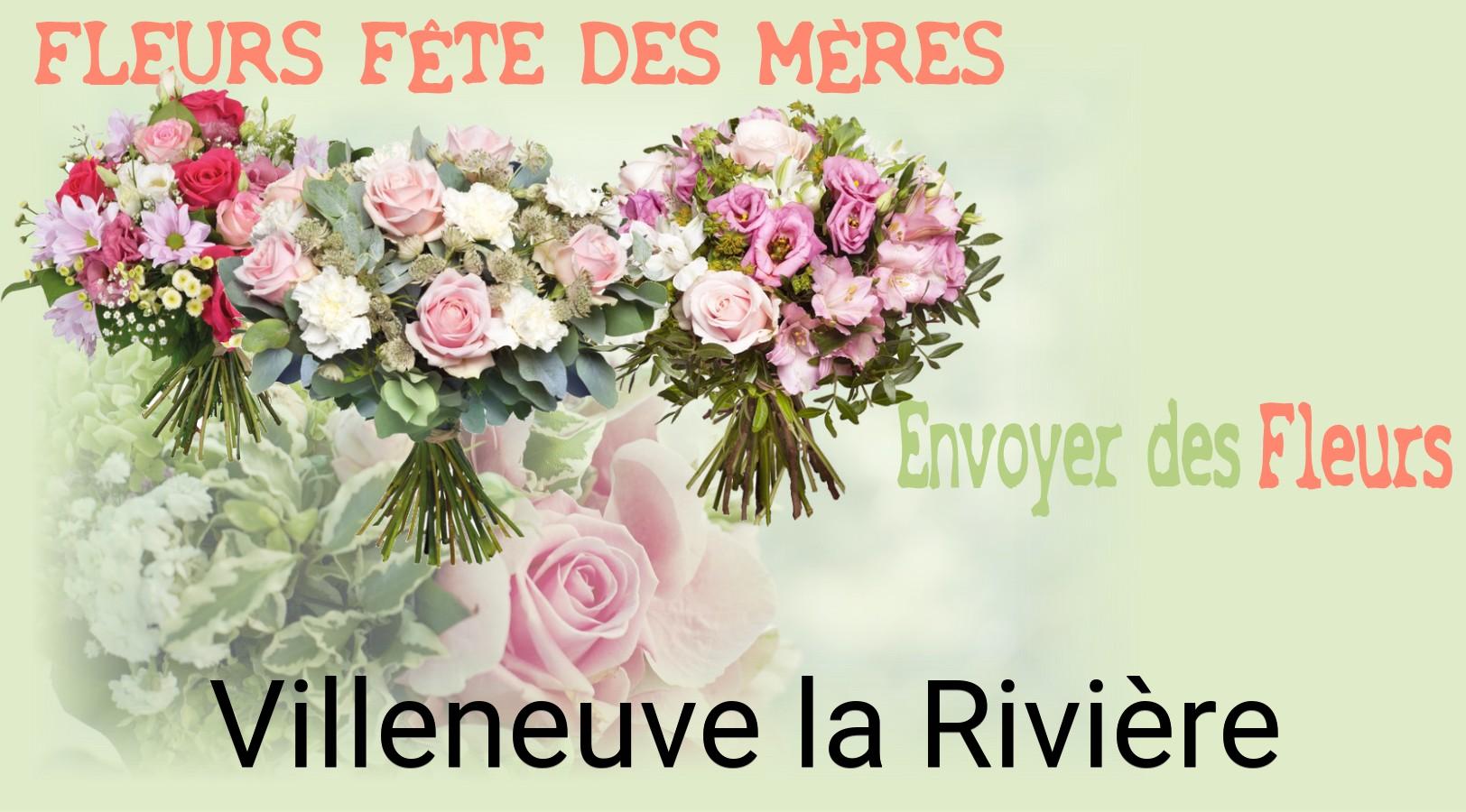 Bouquet de Fête des Mères livré à Villeneuve-la-Rivière
